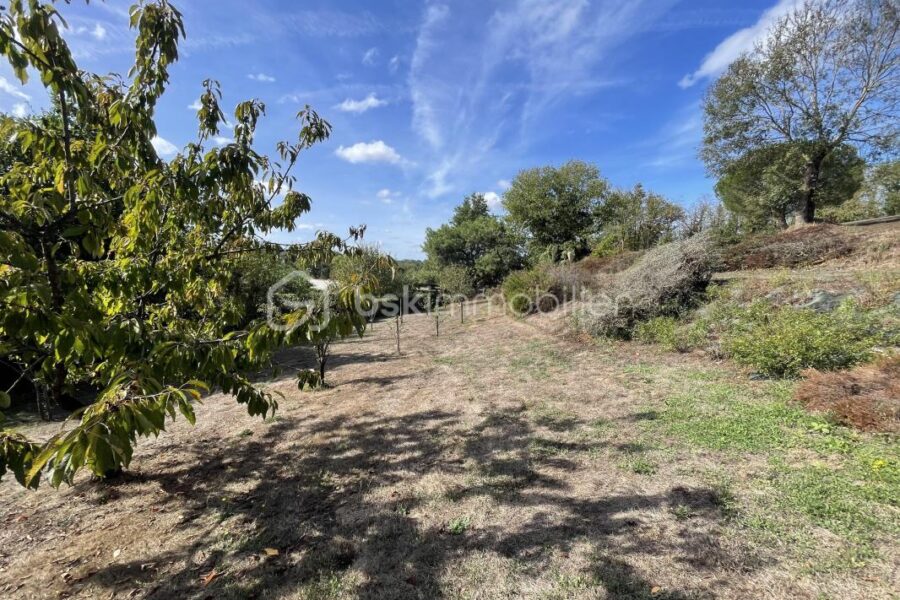 Terrain à vendre à Mareuil sur lay dissais — Vue nature — photo 4