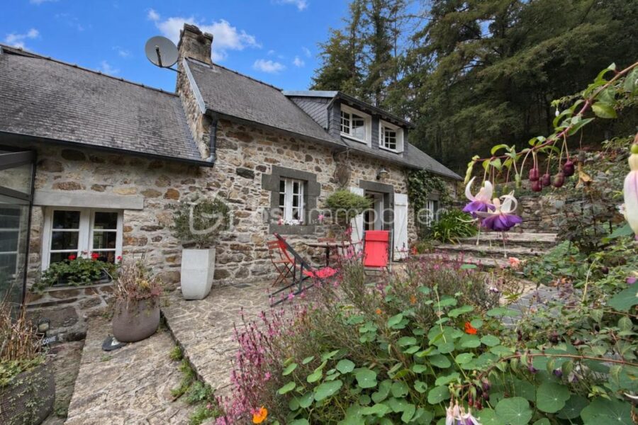 Maison à vendre à Dineault — Vue nature — photo 5