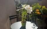 Appartement à vendre à Mantova — Vue fleuve — photo 13