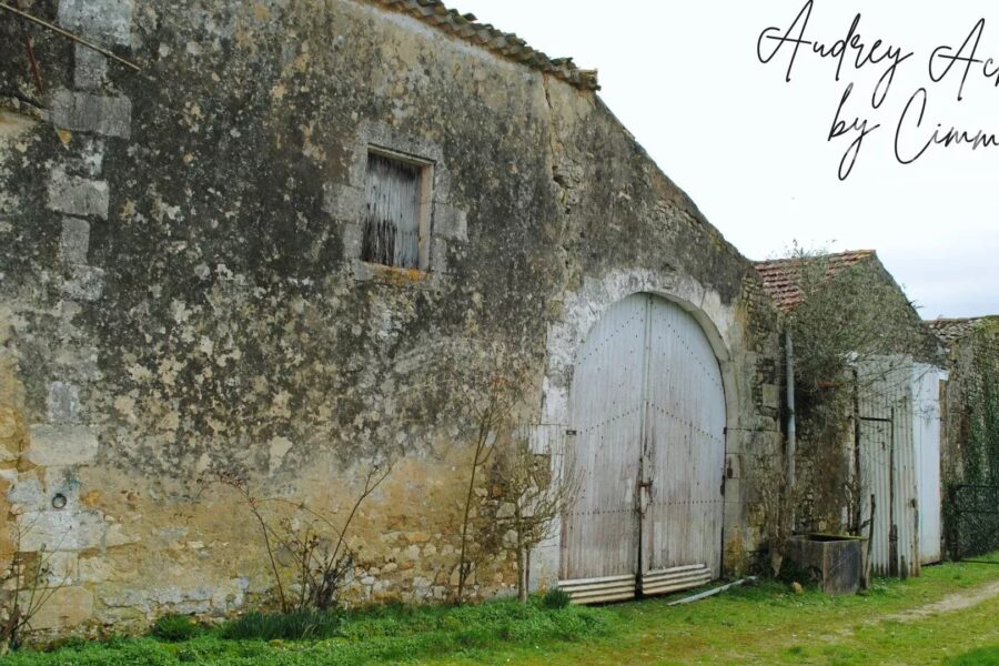 Maison à vendre à Saint-genis-de-saintonge — Vue nature — photo 3