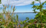 Maison à vendre à Sete — Vue nature — photo 19