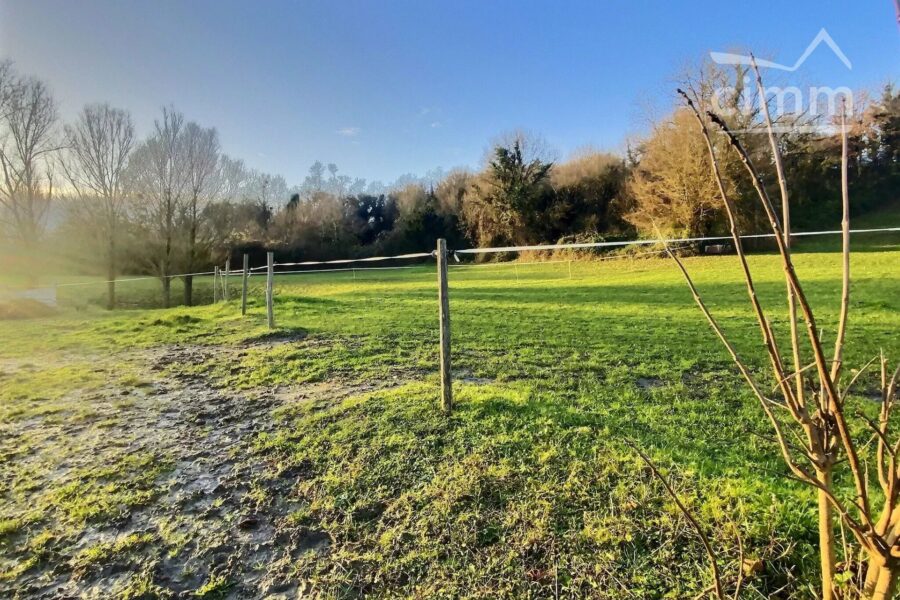 Maison à vendre à Veuzain-sur-loire — Vue nature — photo 1