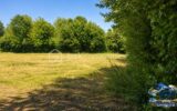 Terrain à vendre à Saint amand sur sevre — Vue nature — photo 6