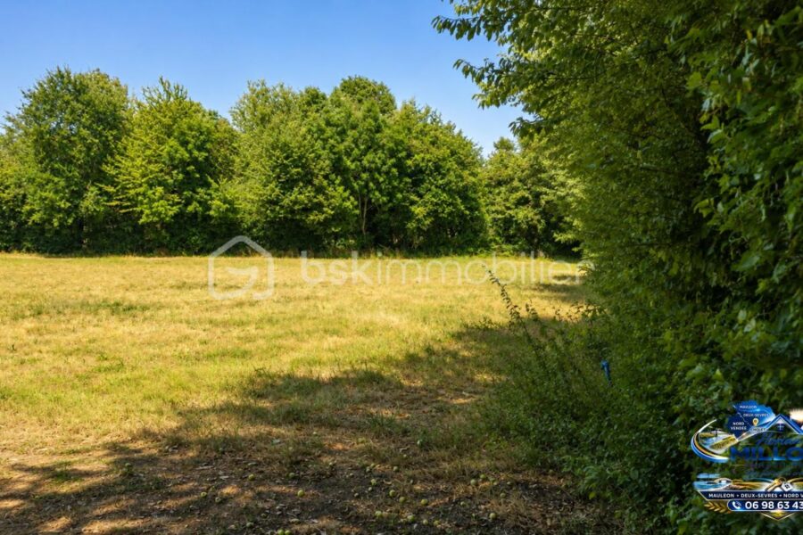 Terrain à vendre à Saint amand sur sevre — Vue nature — photo 6