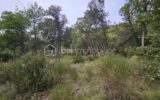 Terrain à vendre à Oraison — Vue dégagée — photo 6