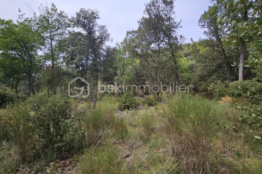 Terrain à vendre à Oraison — Vue dégagée — photo 6