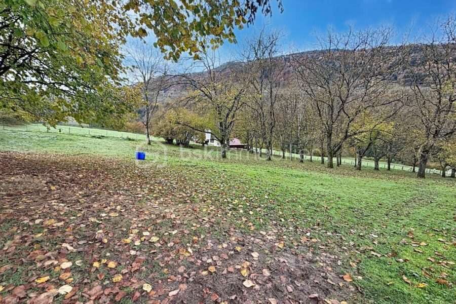 Terrain à vendre à La chapelle du bard — Vue lac — photo 6