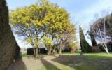 Maison à vendre à Launaguet — Vue nature — photo 6