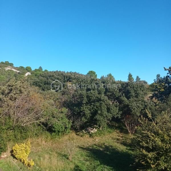 Maison à vendre à Saint hilaire d ozilhan — Vue nature — photo 6