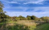 Terrain à vendre à Parigny les vaux — Vue nature — photo 1