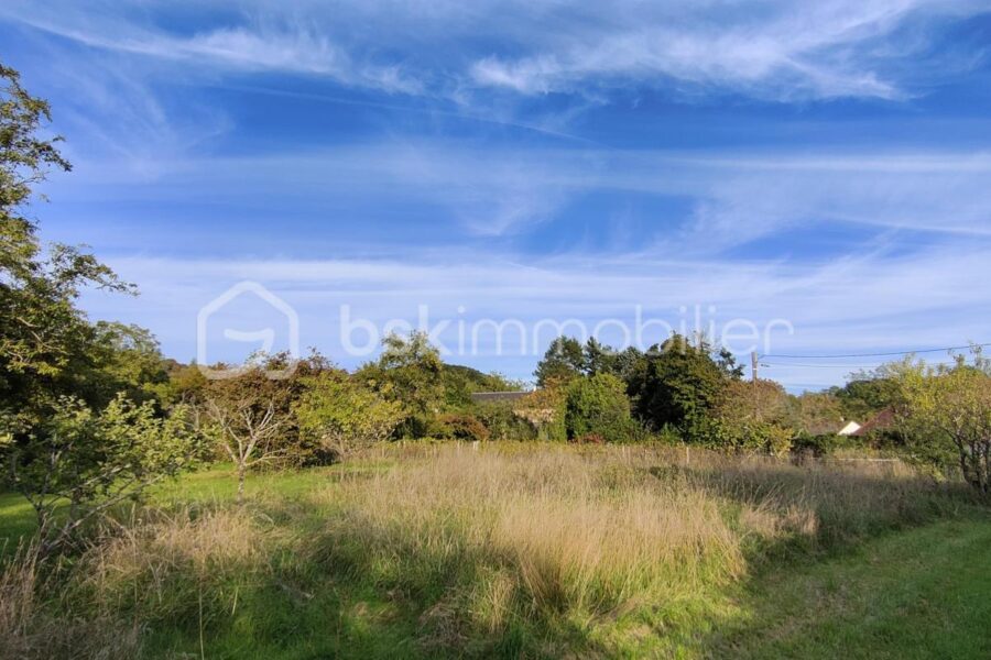 Terrain à vendre à Parigny les vaux — Vue nature — photo 1