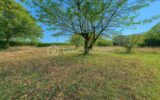 Maison à vendre à Saint hilaire du rosier — Vue nature — photo 5