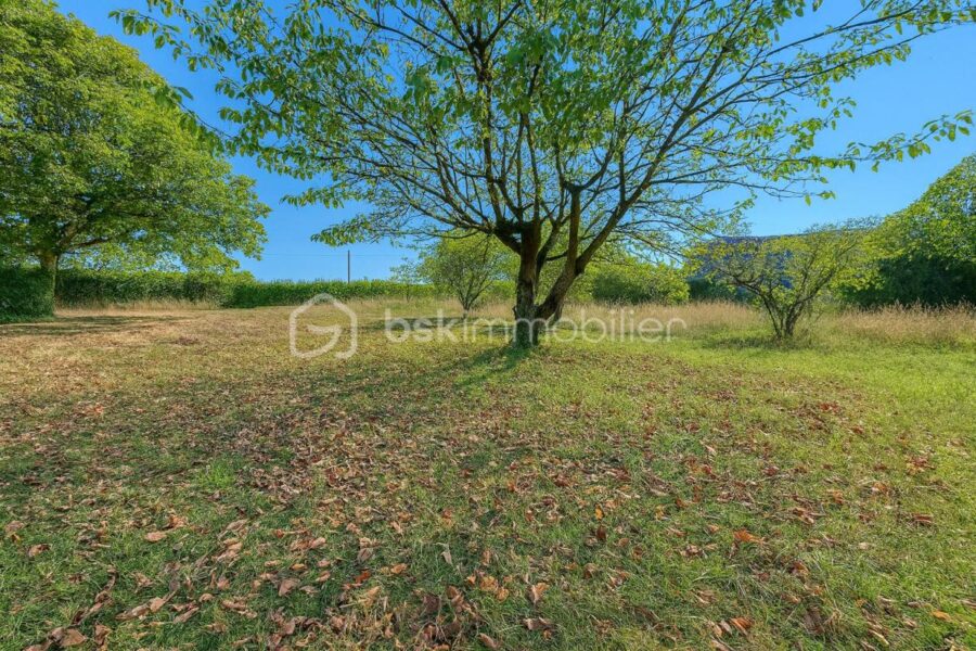 Maison à vendre à Saint hilaire du rosier — Vue nature — photo 5