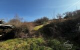 Maison à vendre à Maurs — Vue nature — photo 5