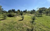Maison à vendre à Agen — Vue nature — photo 1