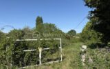 Terrain à vendre à Le mans — Vue dégagée — photo 5
