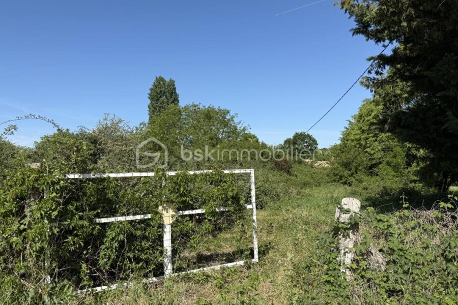Terrain à vendre à Le mans — Vue dégagée — photo 5