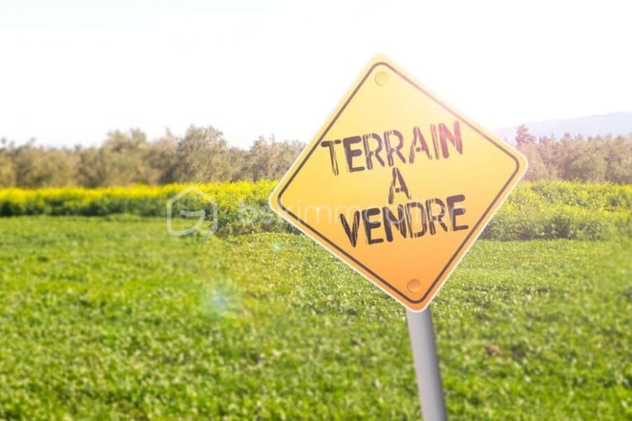 Terrain à vendre à Nozay — photo 5