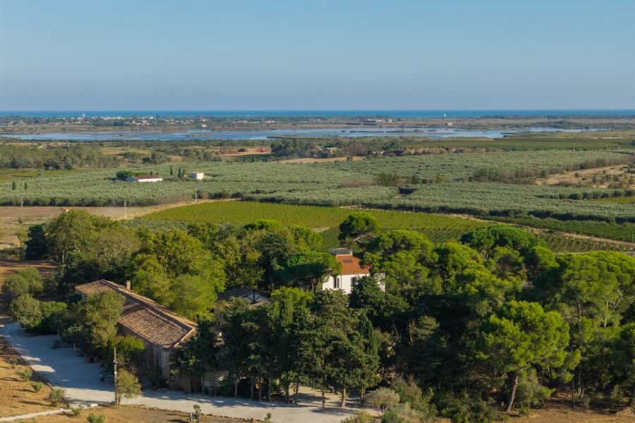 Maison à vendre à Le grau d agde — Vue nature — photo 6