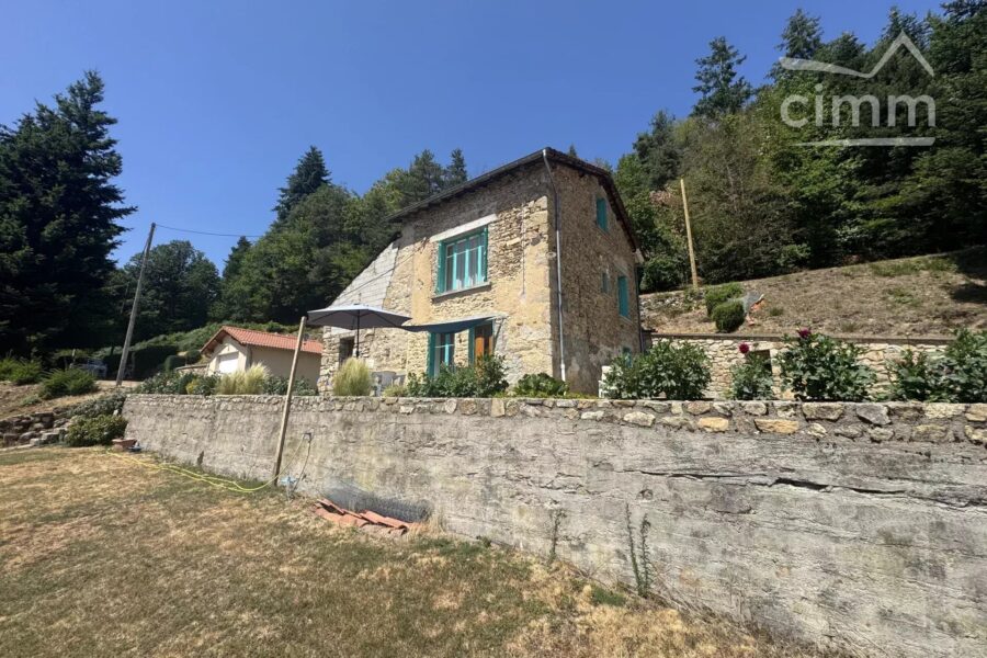 Maison à vendre à Thiolières — Vue montagne — photo 26