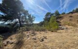 Terrain à vendre à Figanières — Vue nature — photo 8