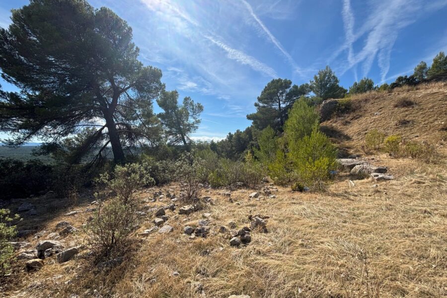 Terrain à vendre à Figanières — Vue nature — photo 8