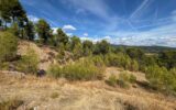 Terrain à vendre à Figanières — Vue nature — photo 5