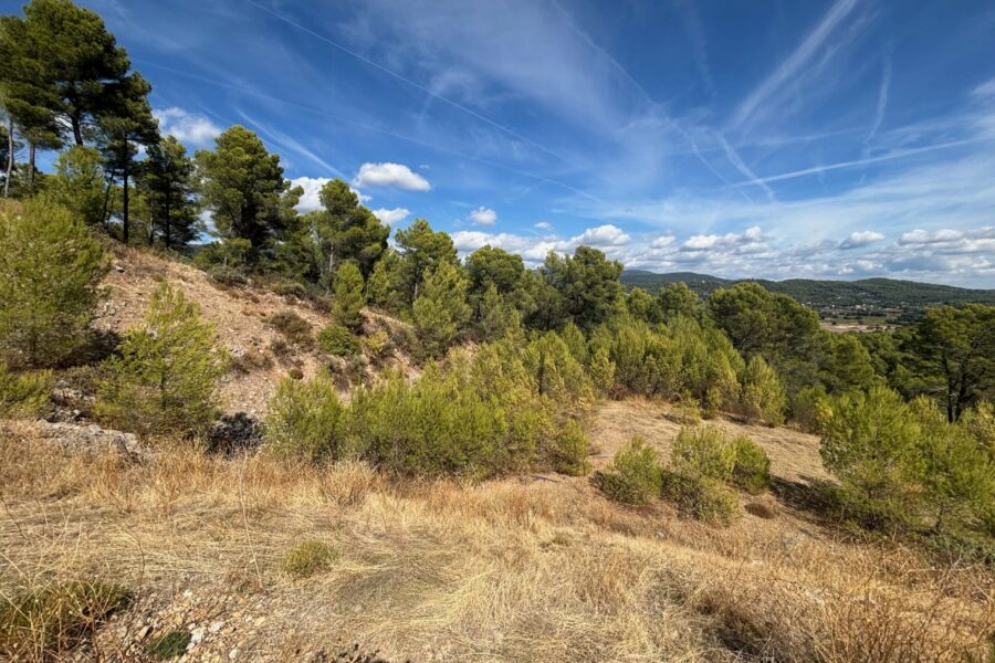 Terrain à vendre à Figanières — Vue nature — photo 5