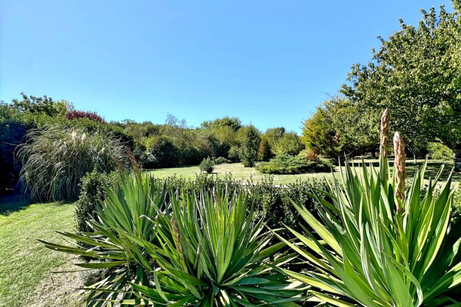 Maison à vendre à Saint-dizant-du-gua — Vue parc & jardin — photo 27