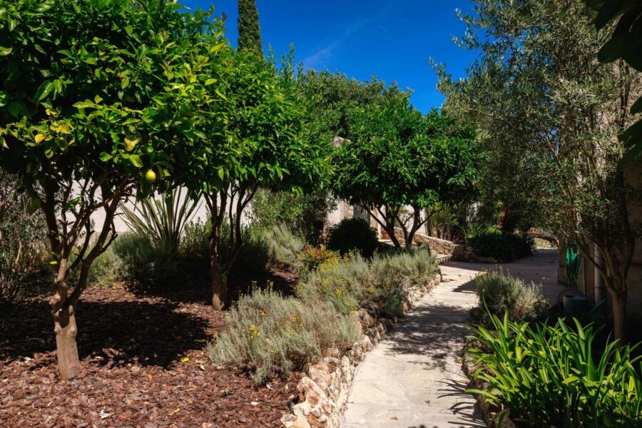 Maison à vendre à Biot — Vue montagne — photo 47