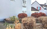 Appartement à vendre à Chessy — Vue parc & jardin — photo 8