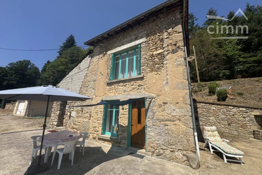 Maison à vendre à Thiolières — Vue montagne — photo 24