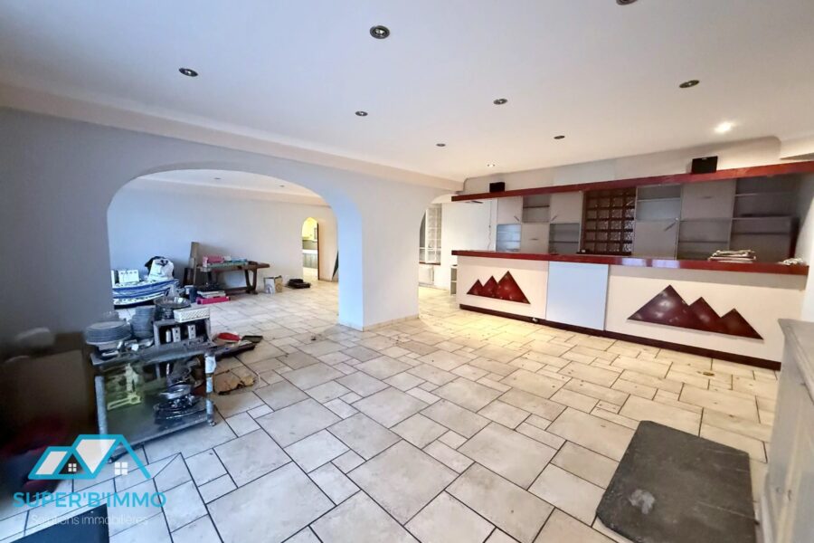 Maison à vendre à Vézézoux — Vue nature — photo 15
