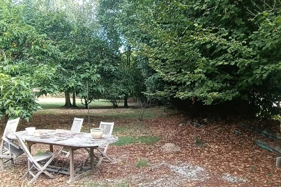Maison à vendre à Pontivy — Vue parc & jardin — photo 20