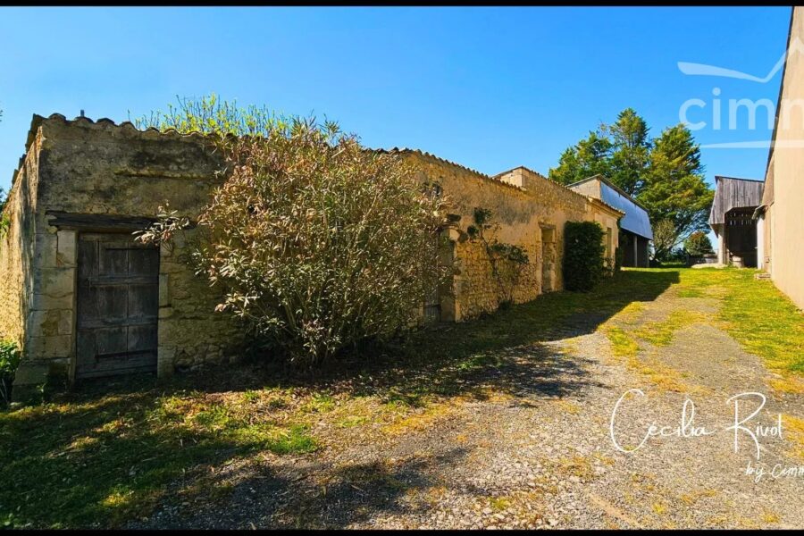 Maison à vendre à Saint-martial-de-mirambeau — Vue nature — photo 31
