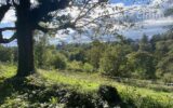 Maison à vendre à Écully — Vue nature — photo 3