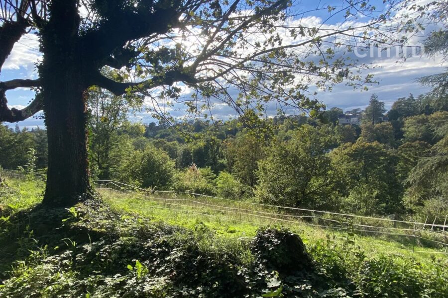 Maison à vendre à Écully — Vue nature — photo 3