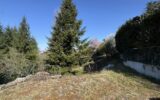 Terrain à vendre à Altkirch — Vue nature — photo 2