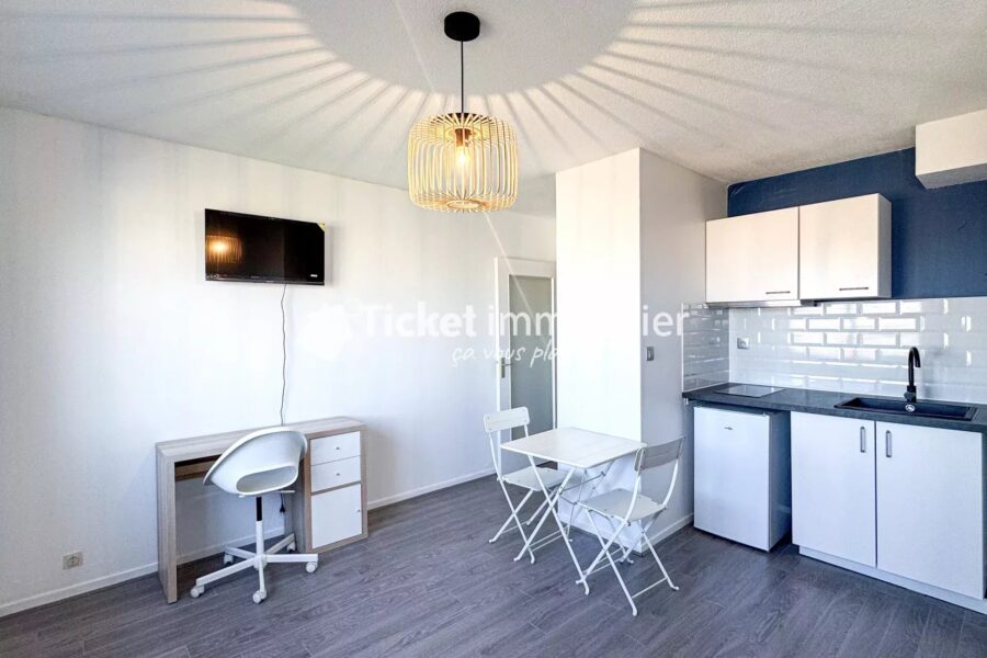 Appartement à louer à Toulouse — Vue sur la ville — photo 5