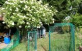 Maison à vendre à Valdallière — Vue nature — photo 8