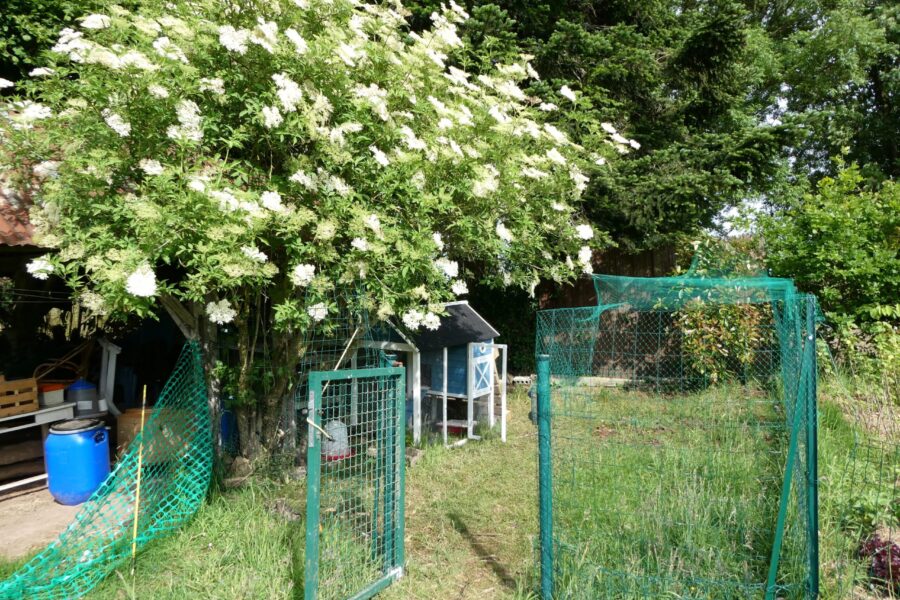 Maison à vendre à Valdallière — Vue nature — photo 8