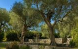 Maison à vendre à Grasse — Vue montagne — photo 22