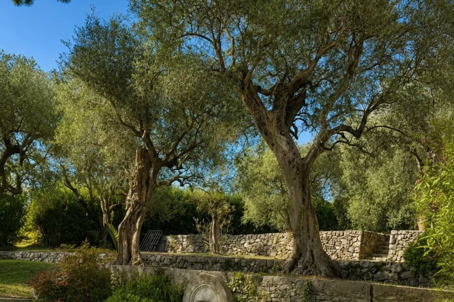 Maison à vendre à Grasse — Vue montagne — photo 22
