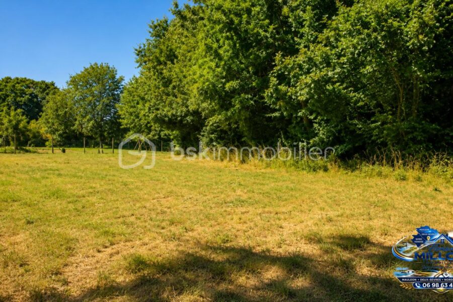 Terrain à vendre à Saint amand sur sevre — Vue nature — photo 7