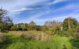 Terrain à vendre à Parigny les vaux — Vue nature — photo 6