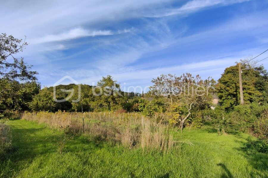 Terrain à vendre à Parigny les vaux — Vue nature — photo 6