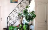 Maison à vendre à Lalinde — Vue nature — photo 6