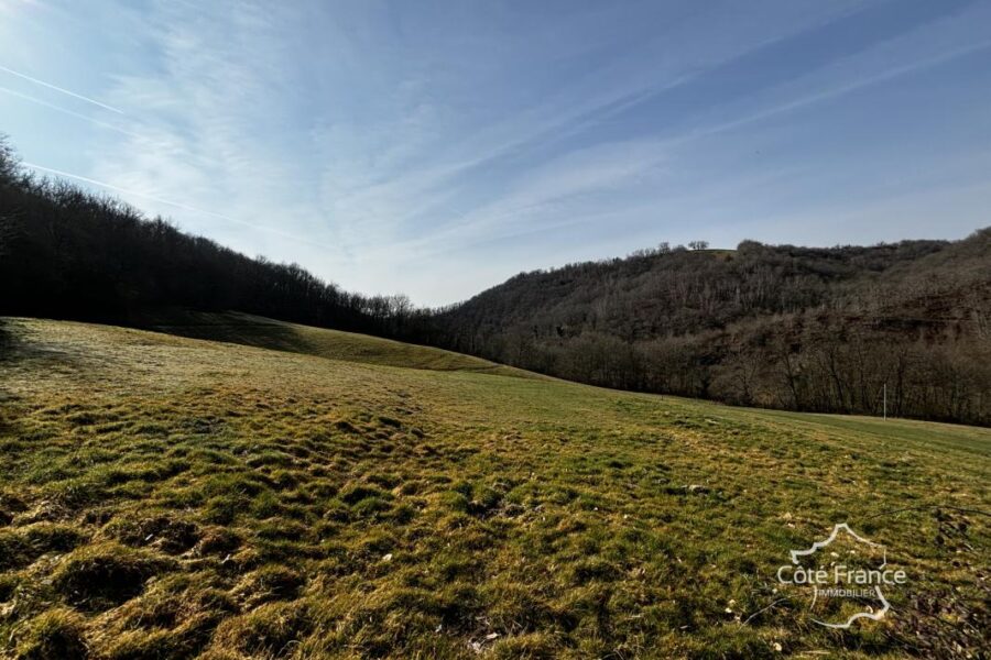 Maison à vendre à Maurs — Vue nature — photo 6