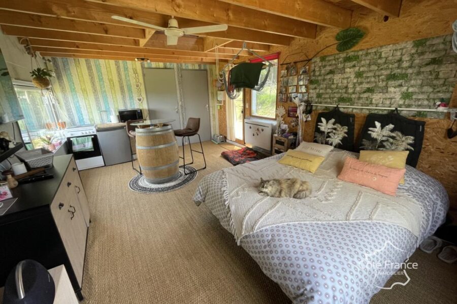 Maison à vendre à Marseillette — Vue nature — photo 6