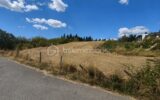 Terrain à vendre à Nollieux — Vue nature — photo 6